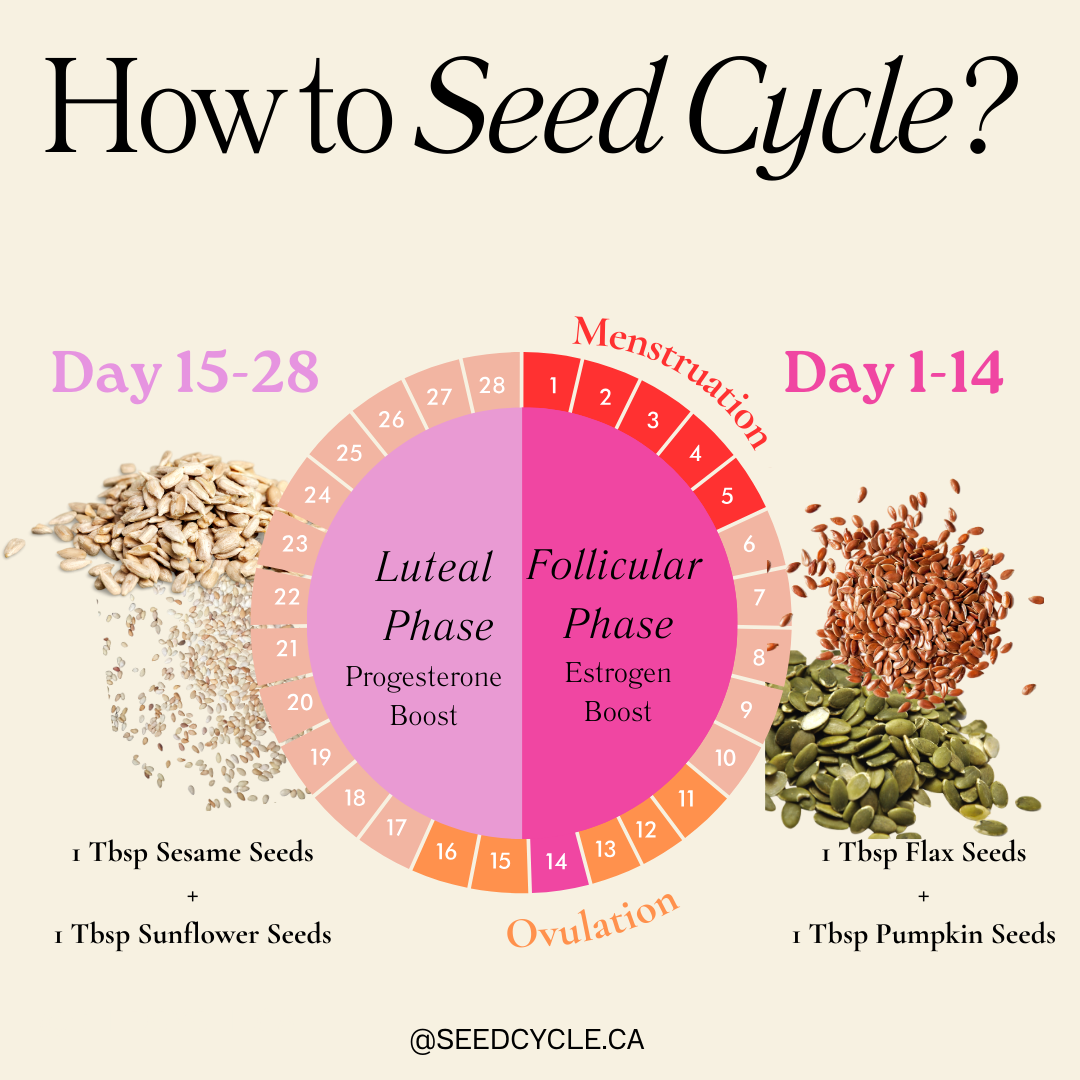 image showing how to seed cycle based on the 28 day cycle with first 143 days showing flax & pumpkin seeds and days 15-28 showing sesame and sunflower seeds