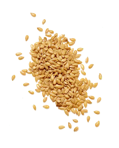 Organic sesame seeds – nutrient-rich ingredient in Seed Cycle Kit to support hormone regulation, reduce inflammation, and balance women’s cycles